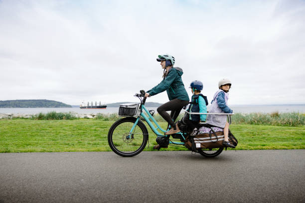 Fostering Equity and Health: The Role of Ebike Subsidies in Transforming Transportation